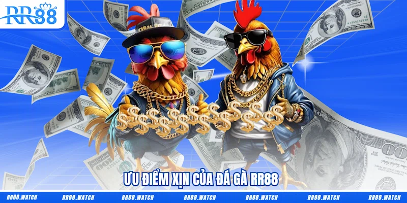 Ưu điểm xịn của Đá gà RR88 